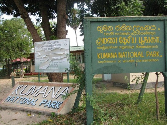 Ampara